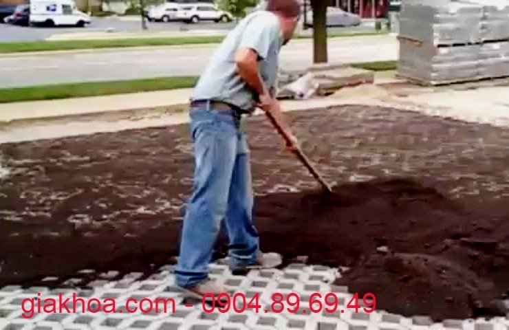 A person digging in the dirt

Description automatically generated with medium confidence