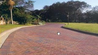 Các mẫu gạch vỉa hè đẹp tại Gakoda