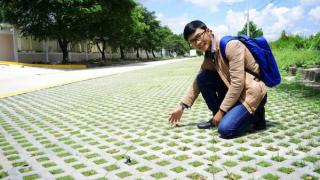 Yêu cầu về tiêu chuẩn gạch trồng cỏ chất lượng