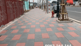 LÁT GẠCH BÊ TÔNG GIẢ ĐÁ 30X50X5 TẠO KHÔNG GIAN SANG TRỌNG