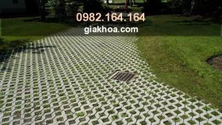 QUY TRÌNH LÁT GẠCH TRỒNG CỎ BLOCK THỰC HIỆN THEO 4 BƯỚC