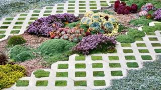 Xu hướng sử dụng gạch trồng cỏ 2 lỗ hiện nay